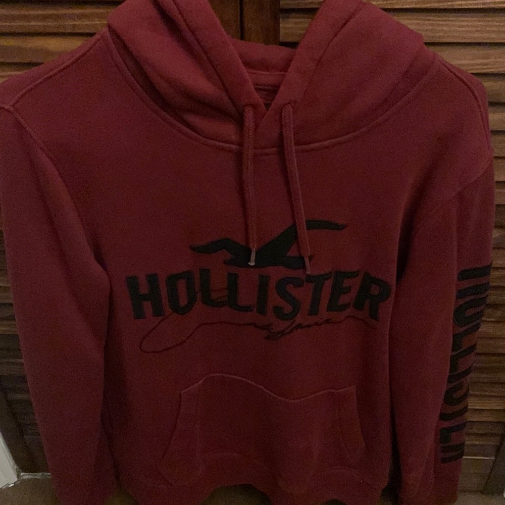 Hollister Sweater/Hoodie